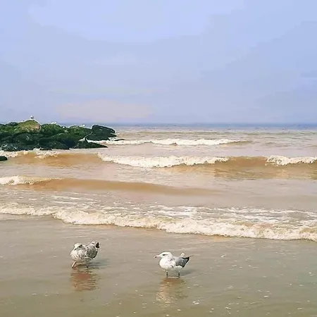 아파트 Coastal Town With Views, Cleaning Included 니우포르트
